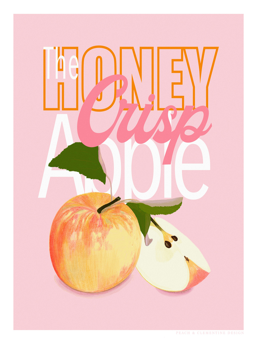 Grafische Illustration eines Honigapfels mit dem Text „The Honey Crisp Apple“ vor einem rosa Hintergrund.