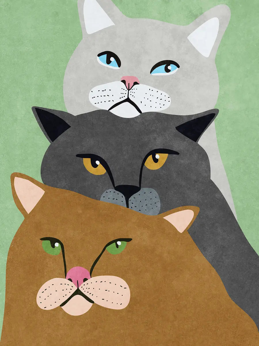 Three Cats Poster