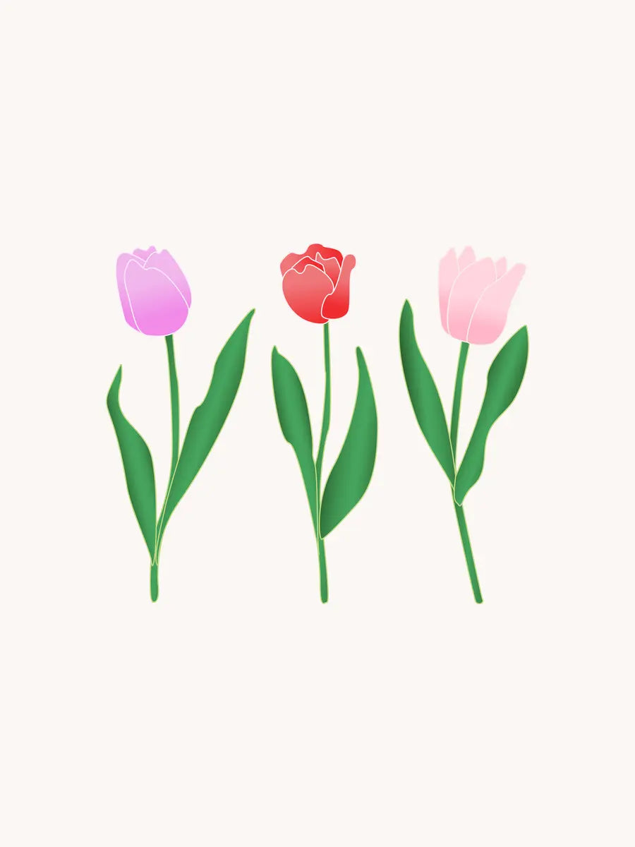 Three Spring Tulips Poster