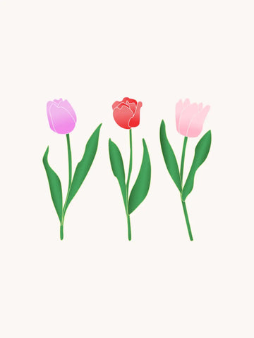 Drei Tulpen in Lila, Rot und Rosa nebeneinander auf beigem Hintergrund.