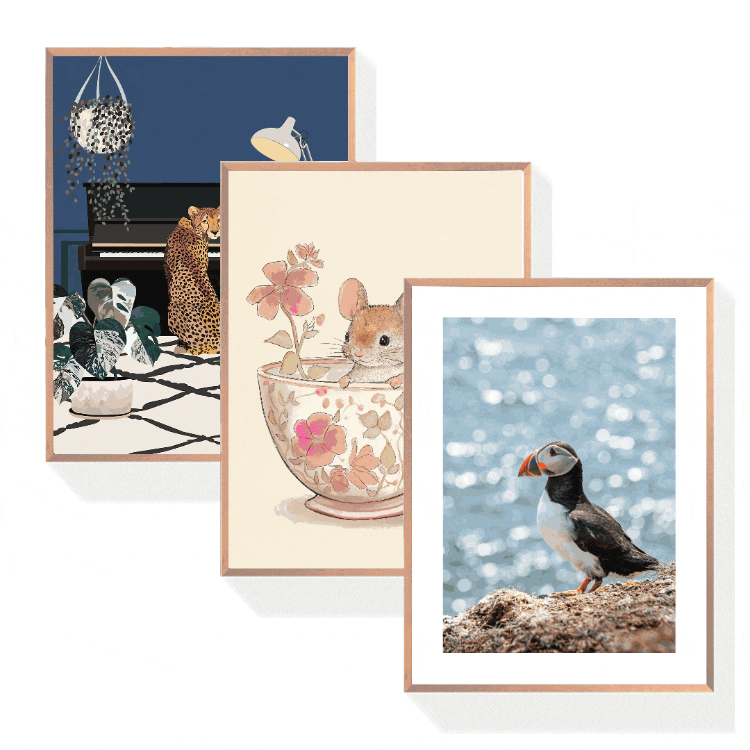 Tier Poster Bundle
