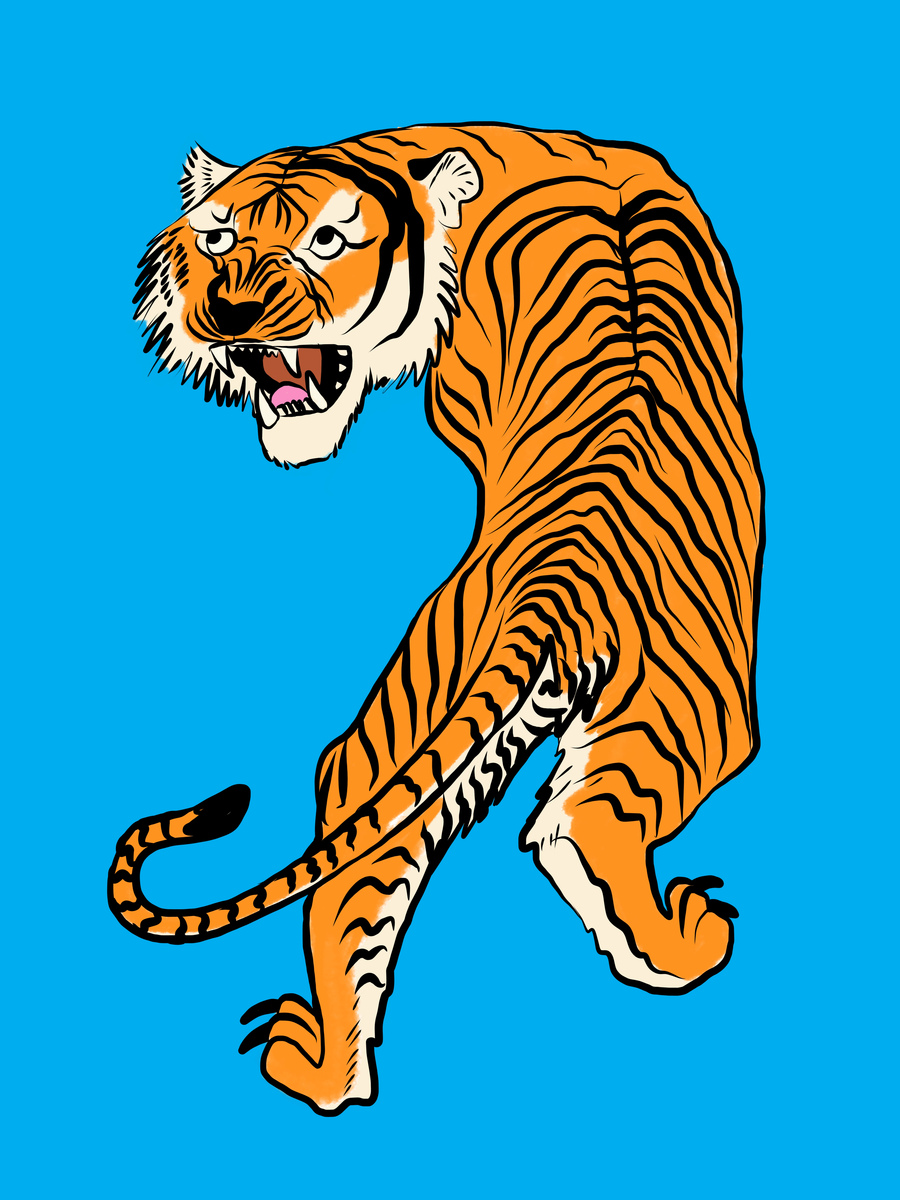 Illustration eines Tigers, der sich umdreht, auf blauem Hintergrund.