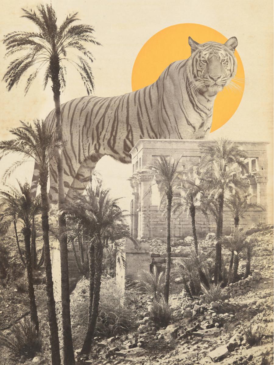 Ein Tiger steht auf einem Tempel in einer Wüstenlandschaft mit Palmen und einer untergehenden Sonne im Hintergrund.