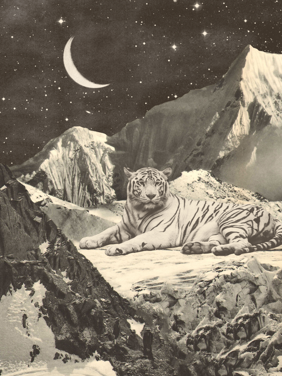 Weißer Tiger auf einem schneebedeckten Berg vor einem Sternenhimmel mit Halbmond.