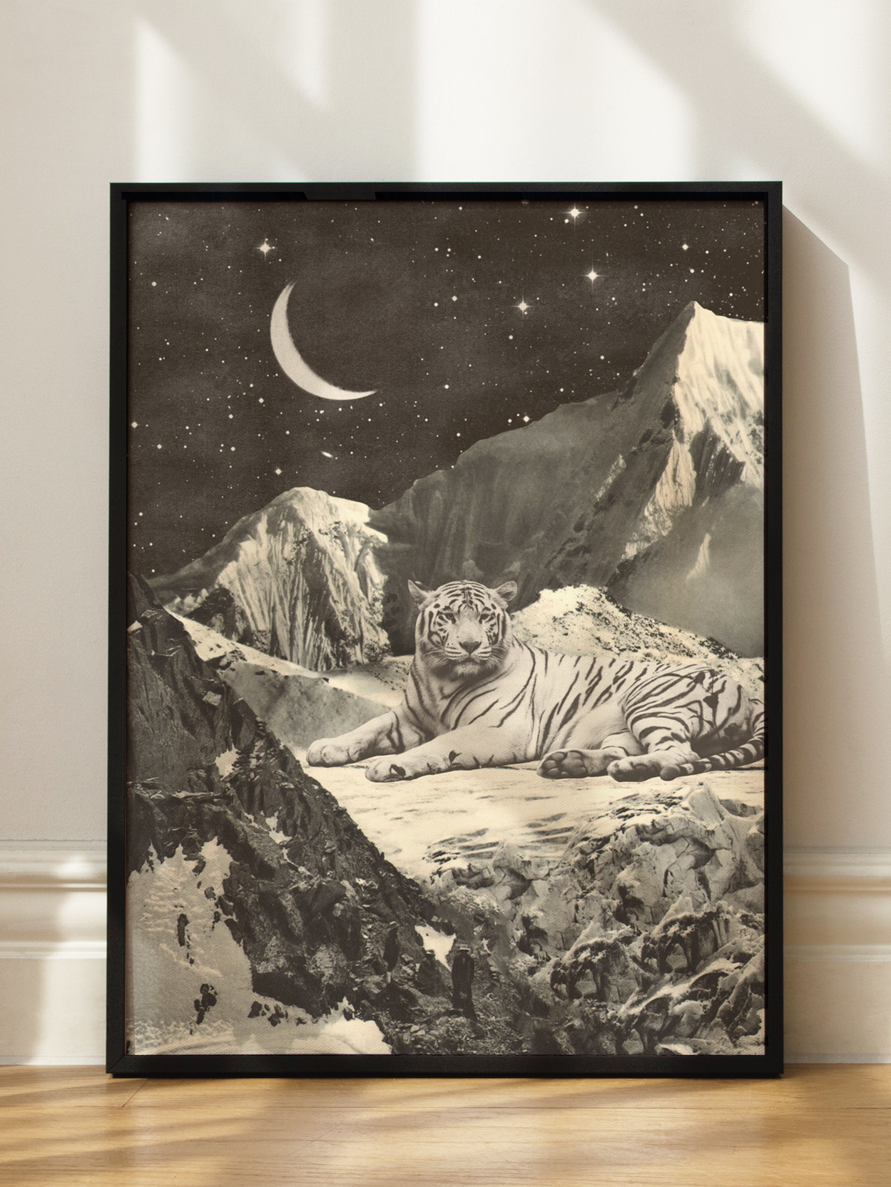 Tiger on Mountain