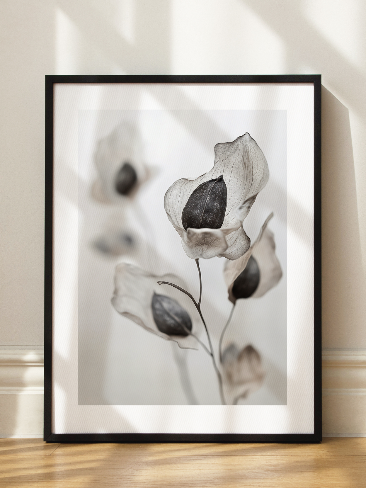 Transparent Petals Poster