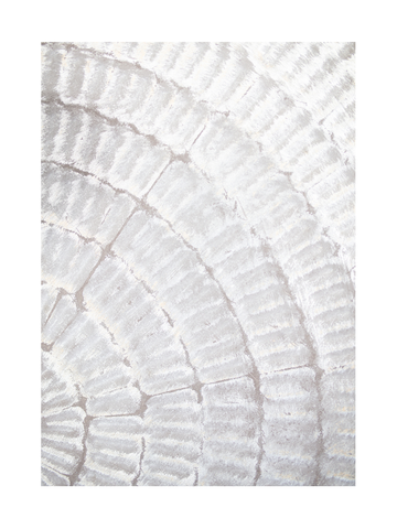 Detailliertes Foto von Baumringen in Weiß und Beige.