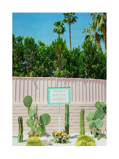 Ein Schild mit der Aufschrift Trixie's Cactus Garden vor einer rosa Wand und verschiedenen Kakteen.