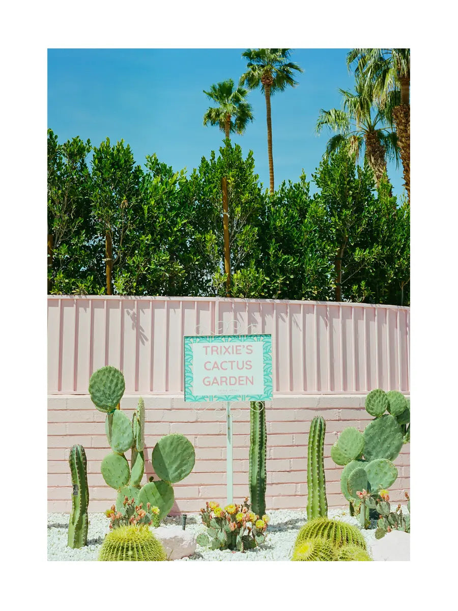 Ein Schild mit der Aufschrift Trixie's Cactus Garden vor einer rosa Wand und verschiedenen Kakteen.