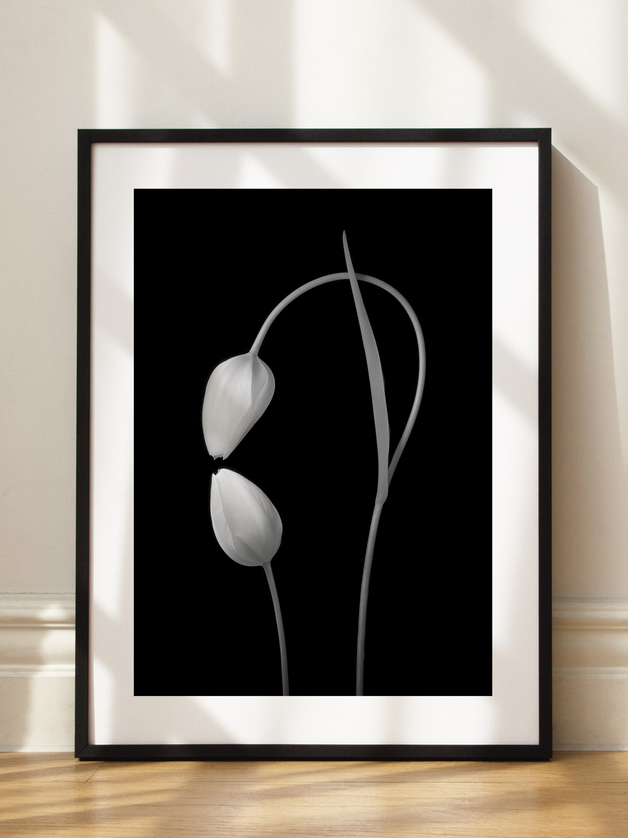 Tulip Love