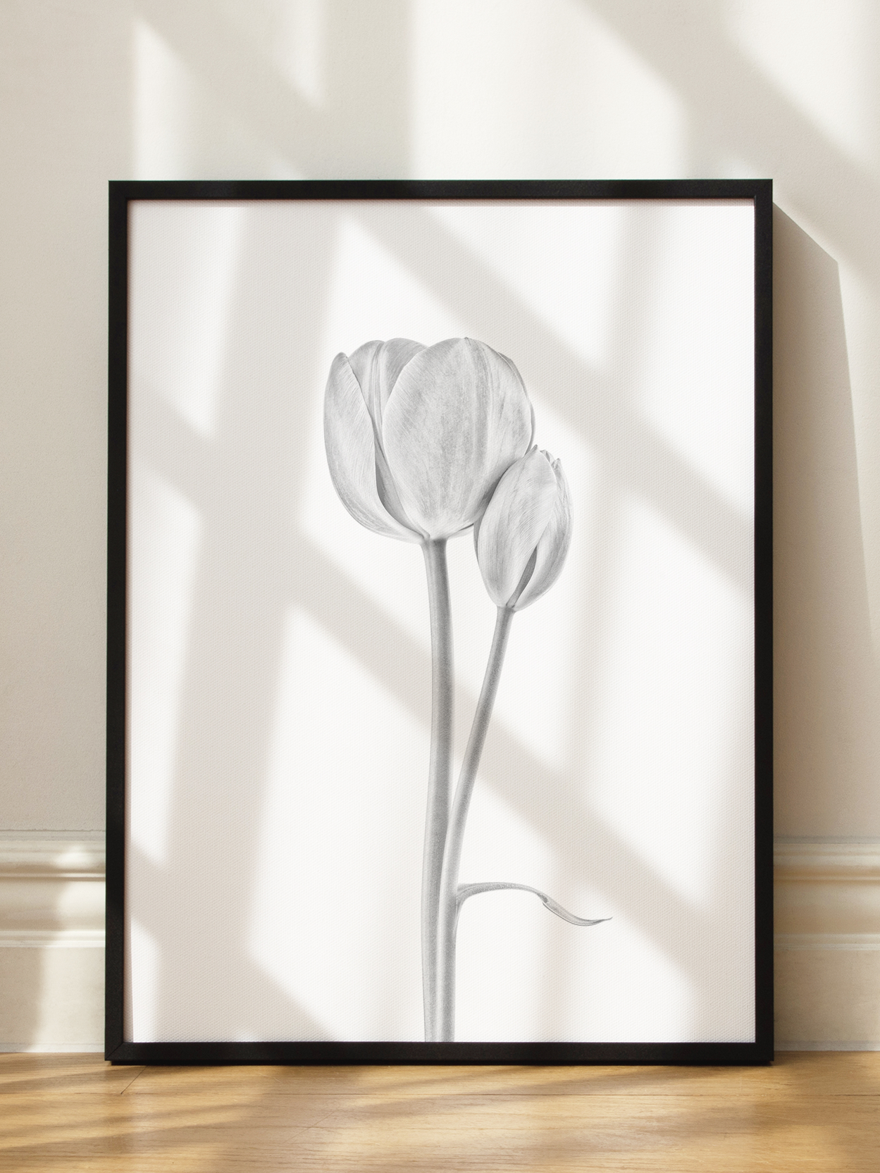 Tulip Pair No1