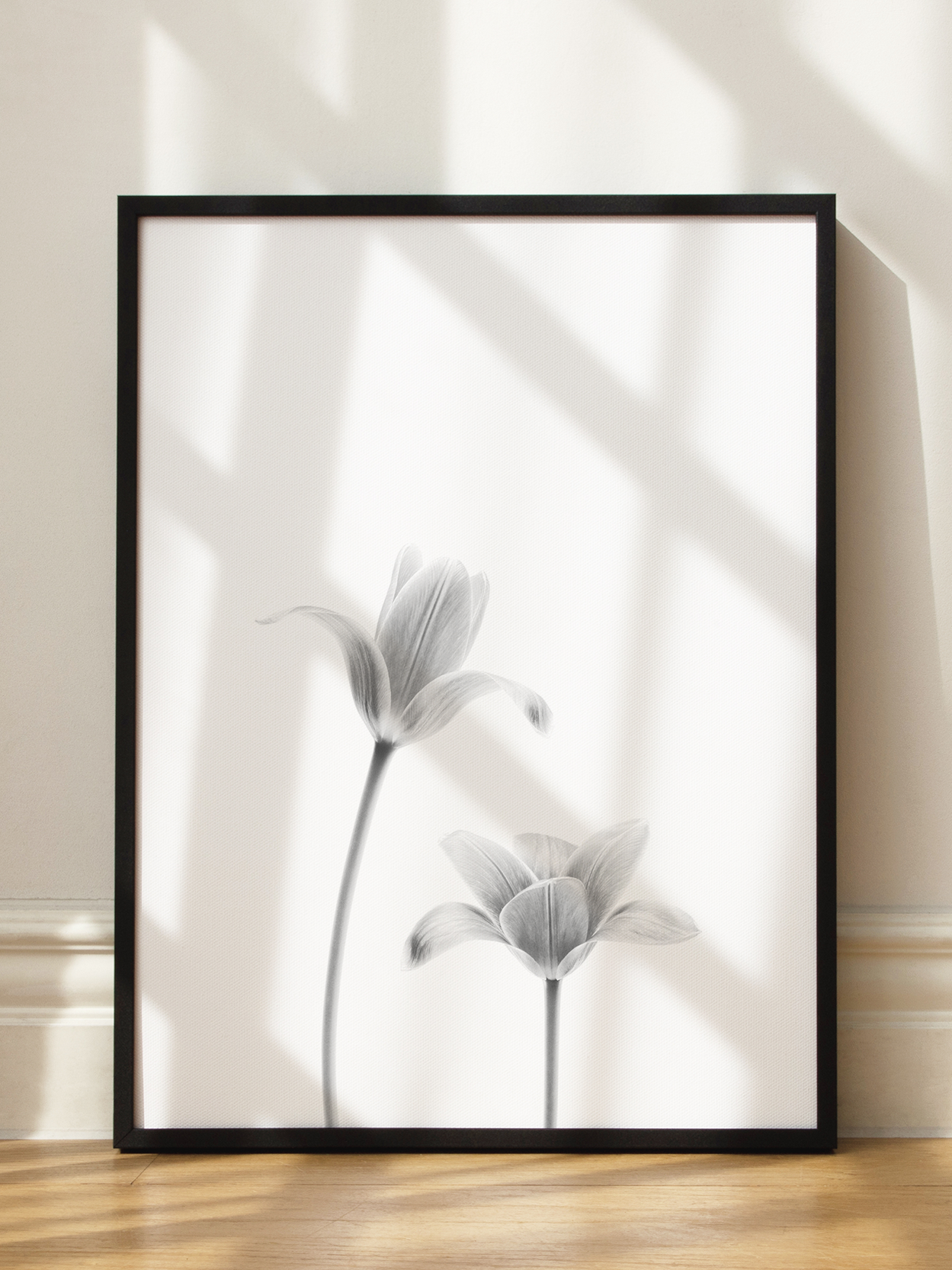 Tulip Pair No2