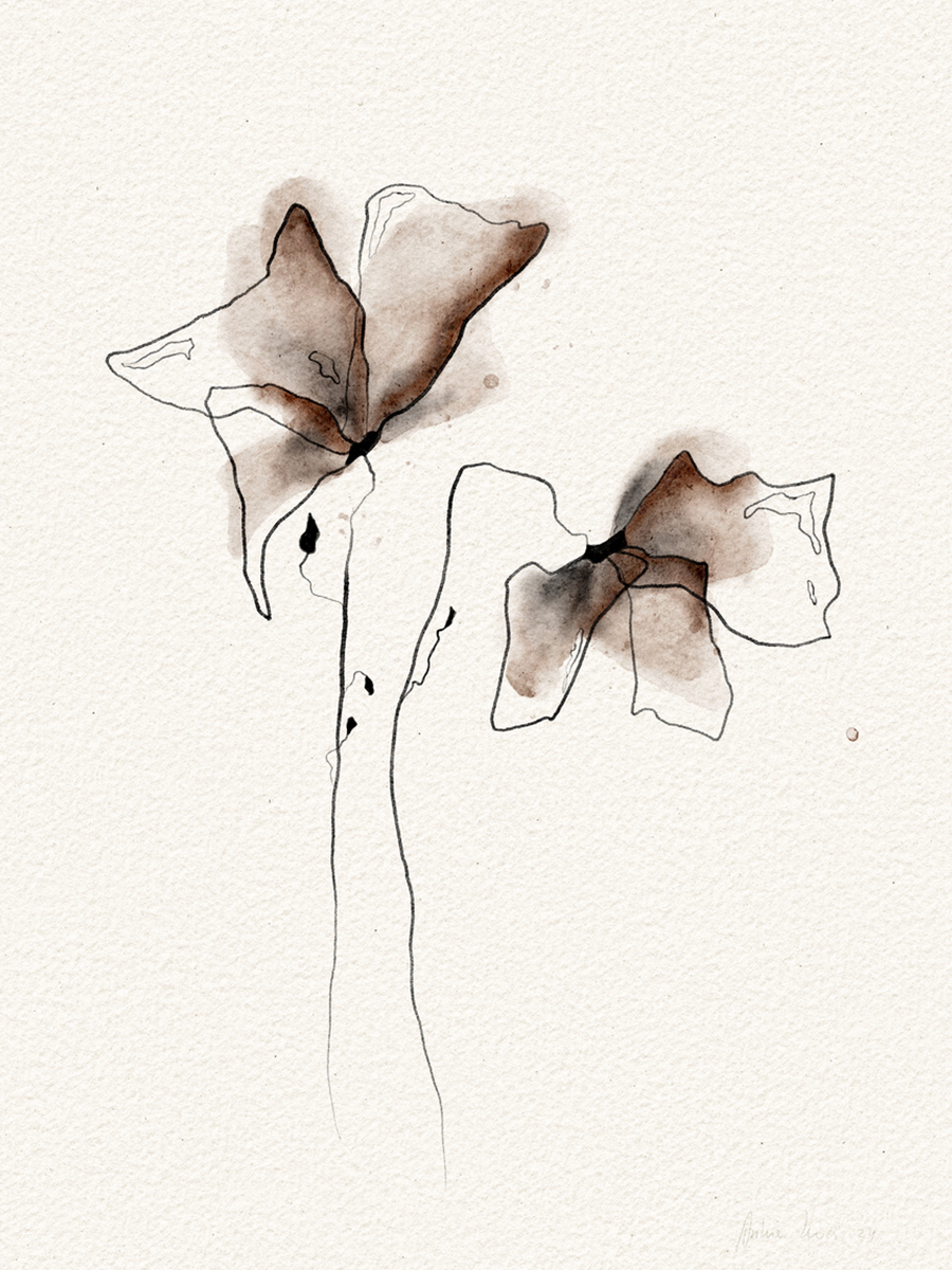 Illustration von zwei Blumen in Braun- und Schwarztönen auf beigem Hintergrund.