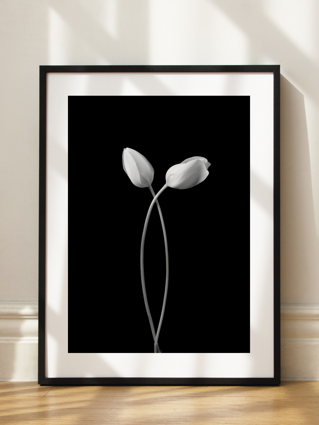 Two Tulips Poster