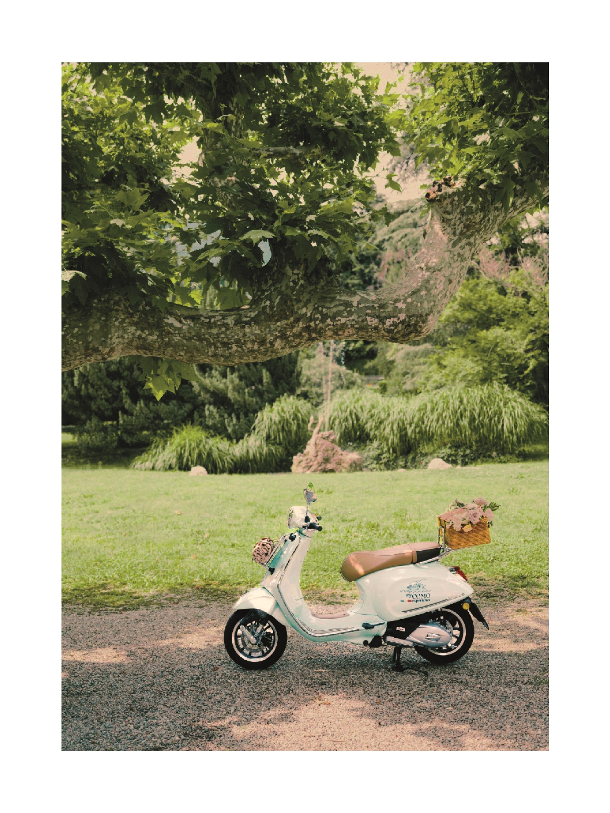 Vintage Vespa Escape