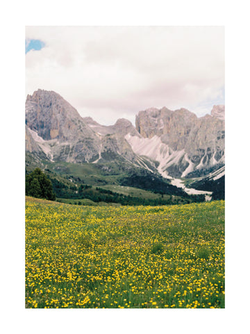 Fotografie einer grünen Wiese mit gelben Blumen und den Dolomiten im Hintergrund.