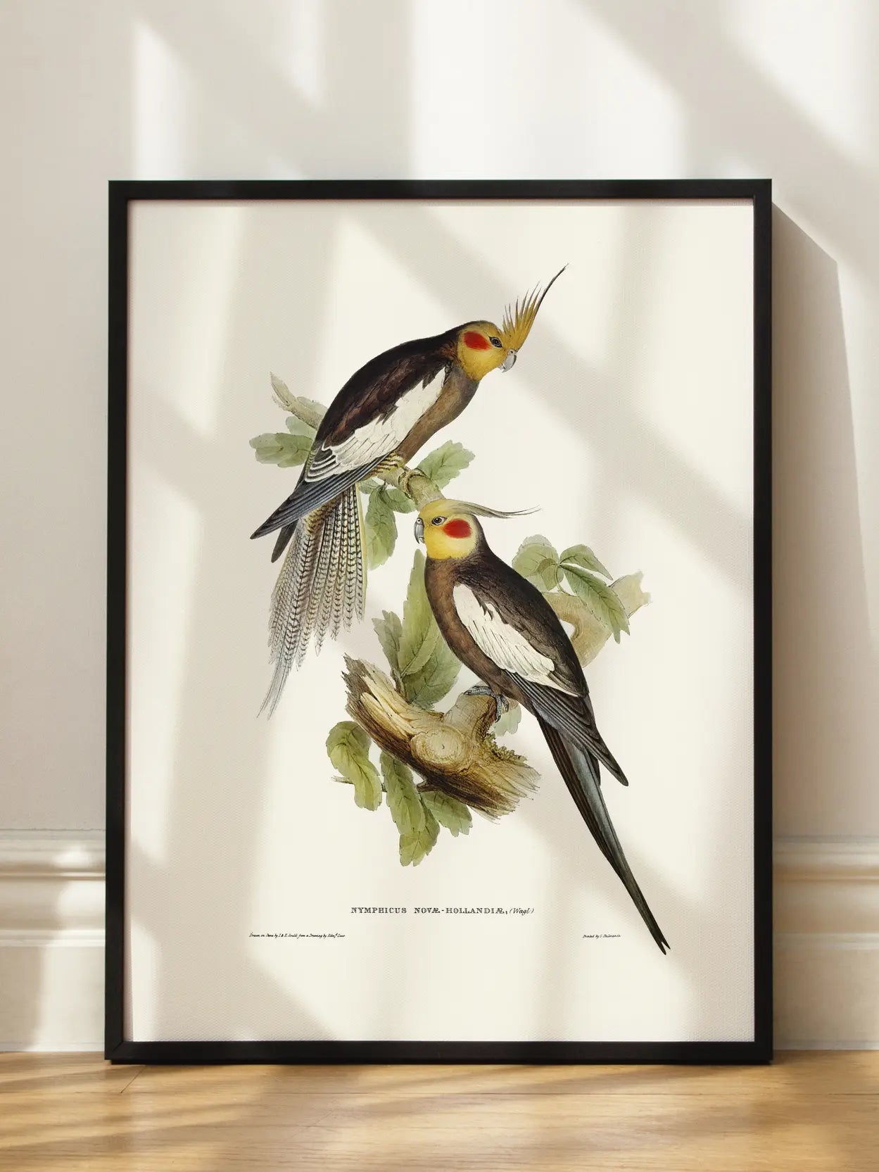 Vintage Bird Pair Illustration