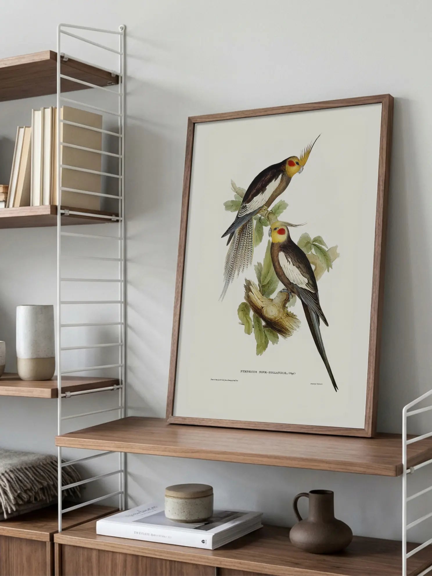 Vintage Bird Pair Illustration Poster