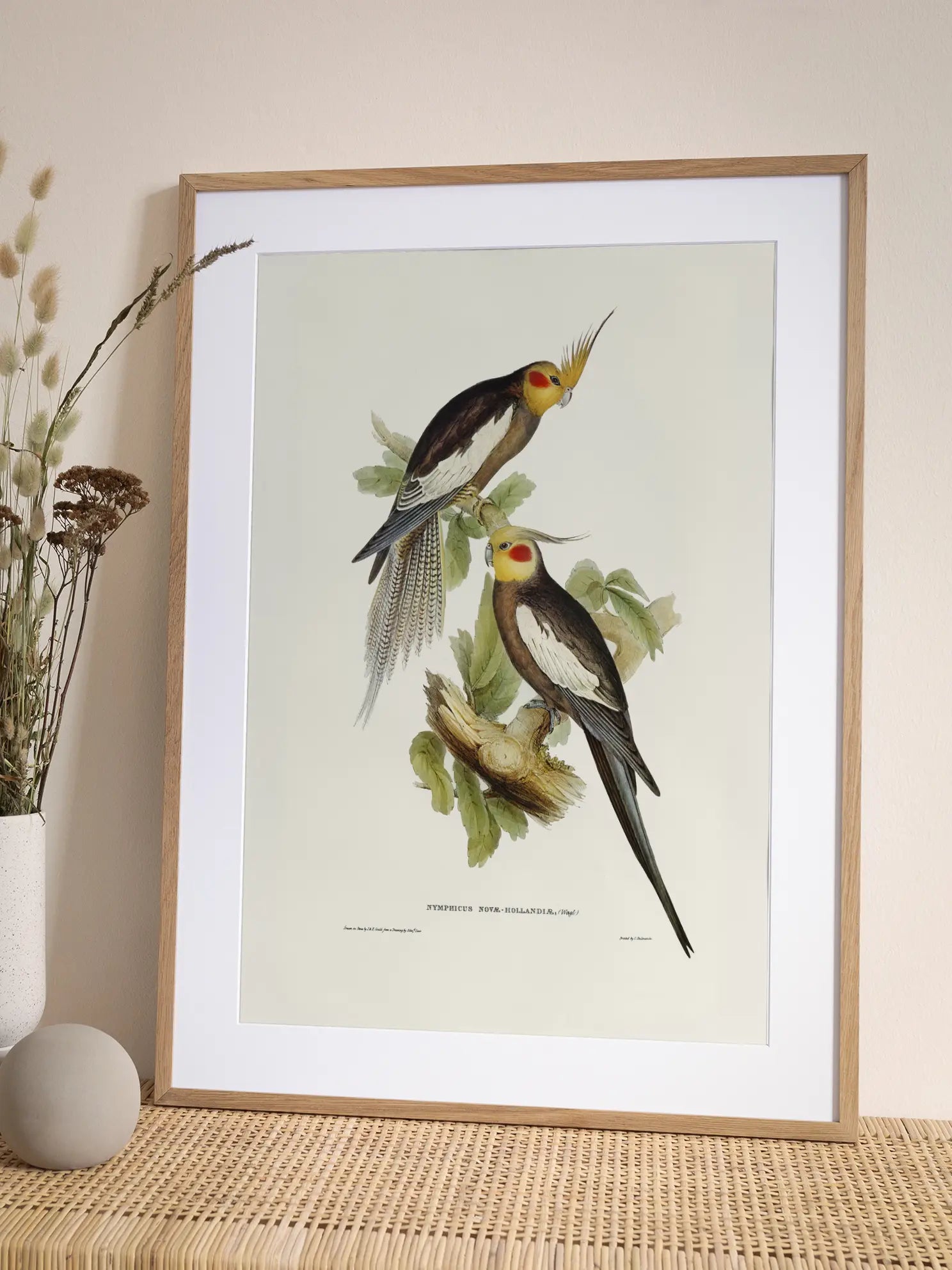Vintage Bird Pair Illustration Poster