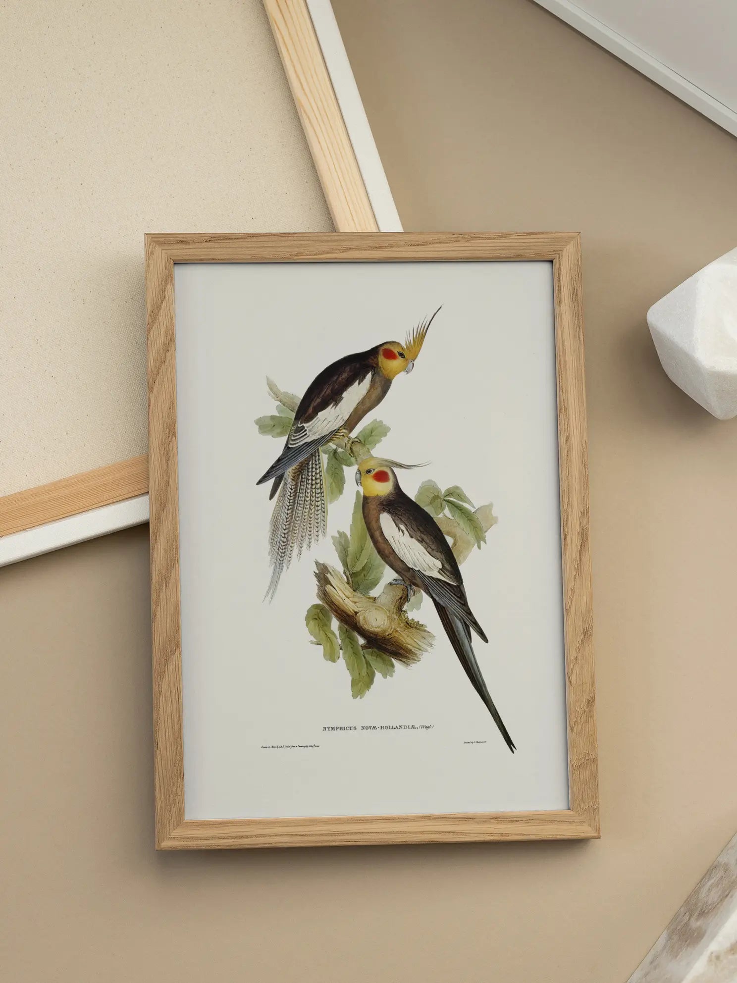 Vintage Bird Pair Illustration Poster
