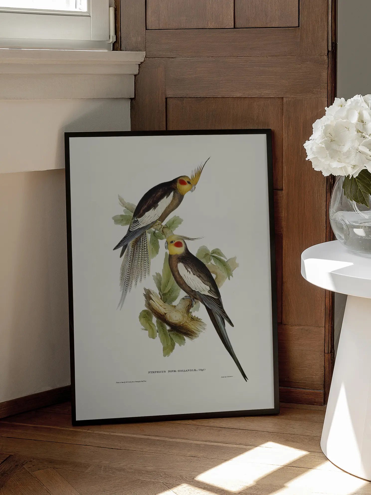 Vintage Bird Pair Illustration Poster