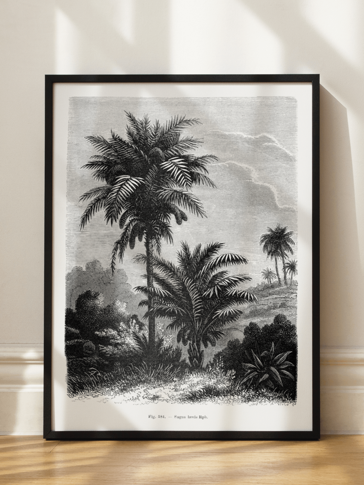 Vintage Palm Illustration