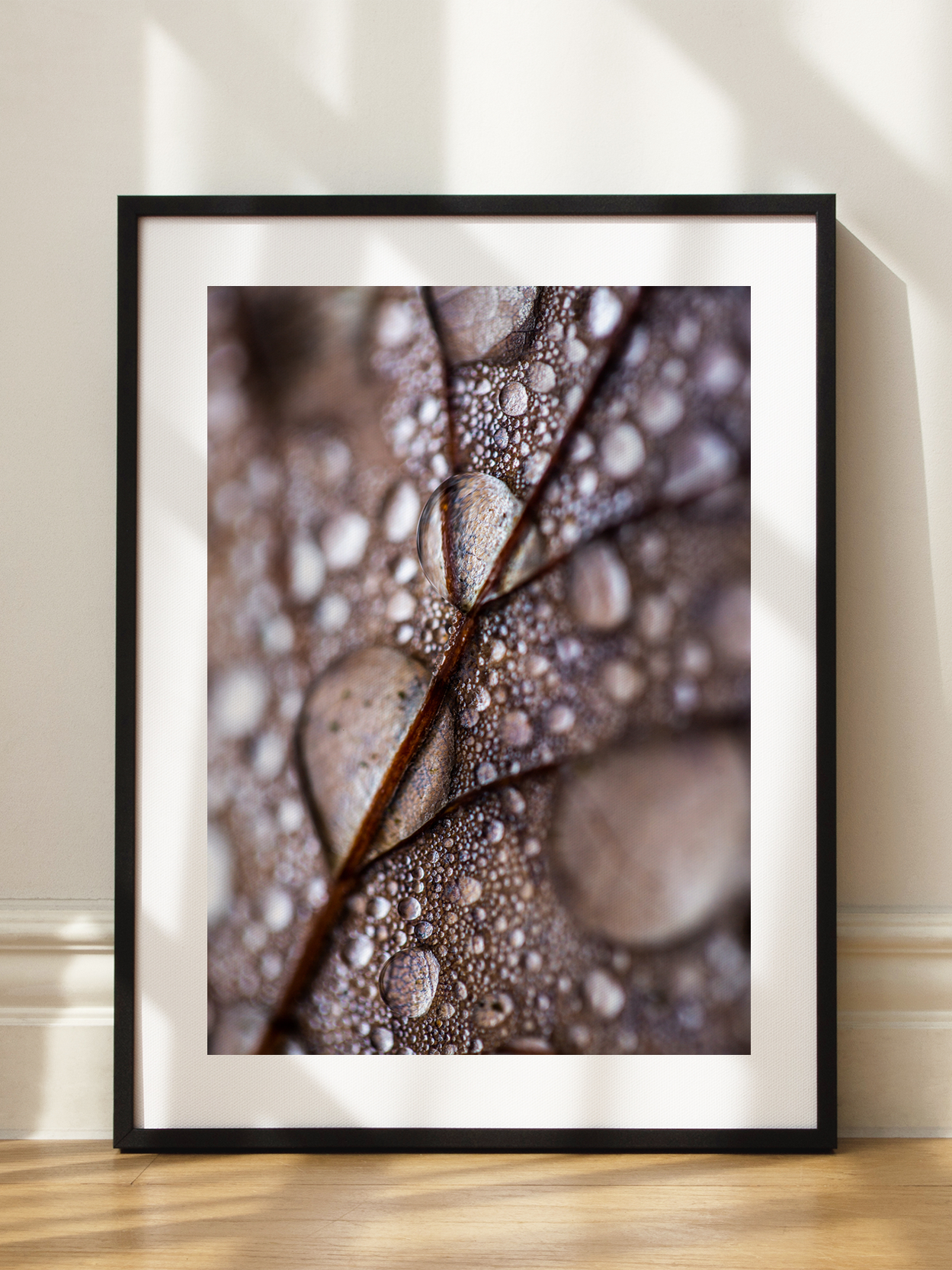 Water Drops on Leaf