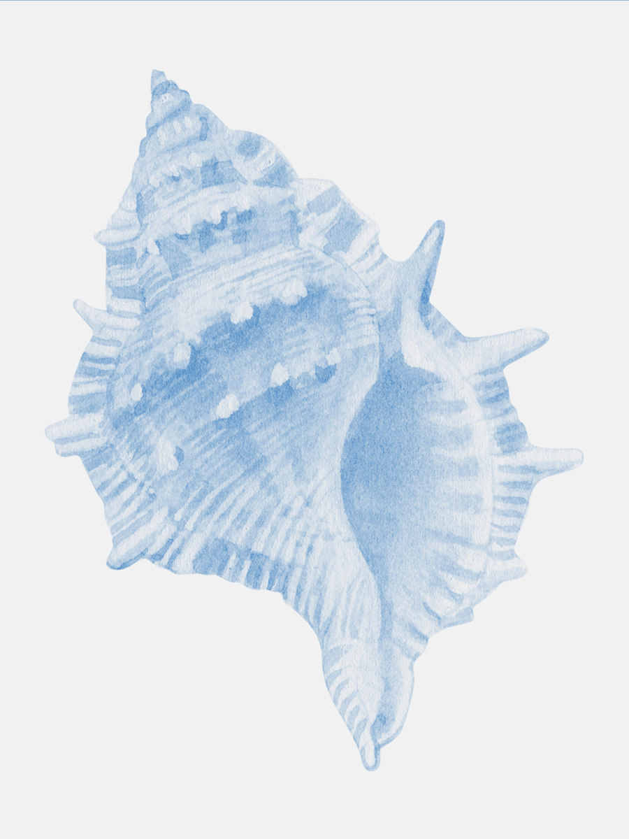 Aquarellillustration einer blauen Muschel auf weißem Hintergrund.