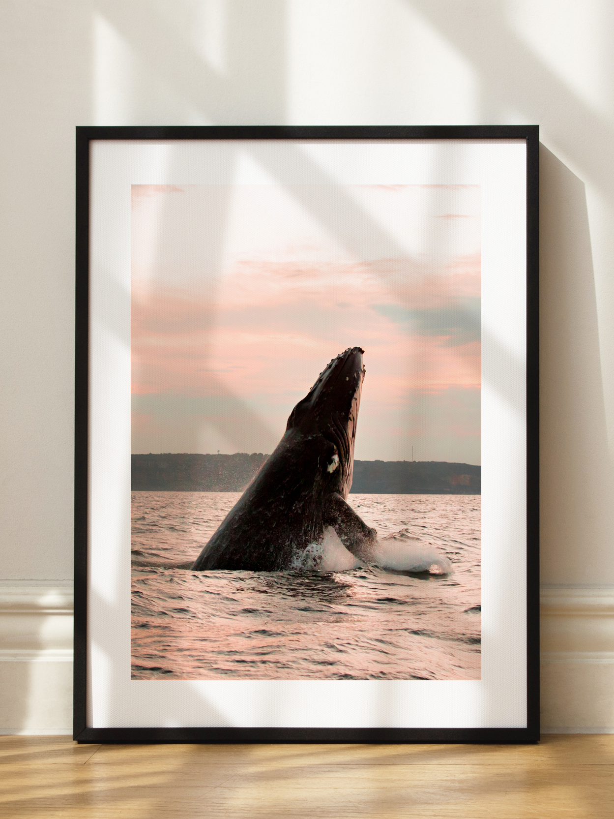 Whale Breach