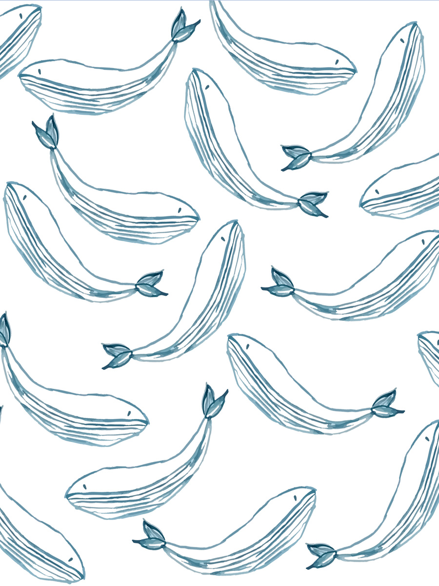 Whale Pattern