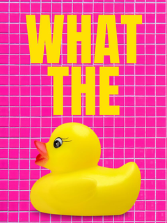 Gelbe Gummiente vor rosa gefliestem Hintergrund mit gelbem Text „WHAT THE“.
