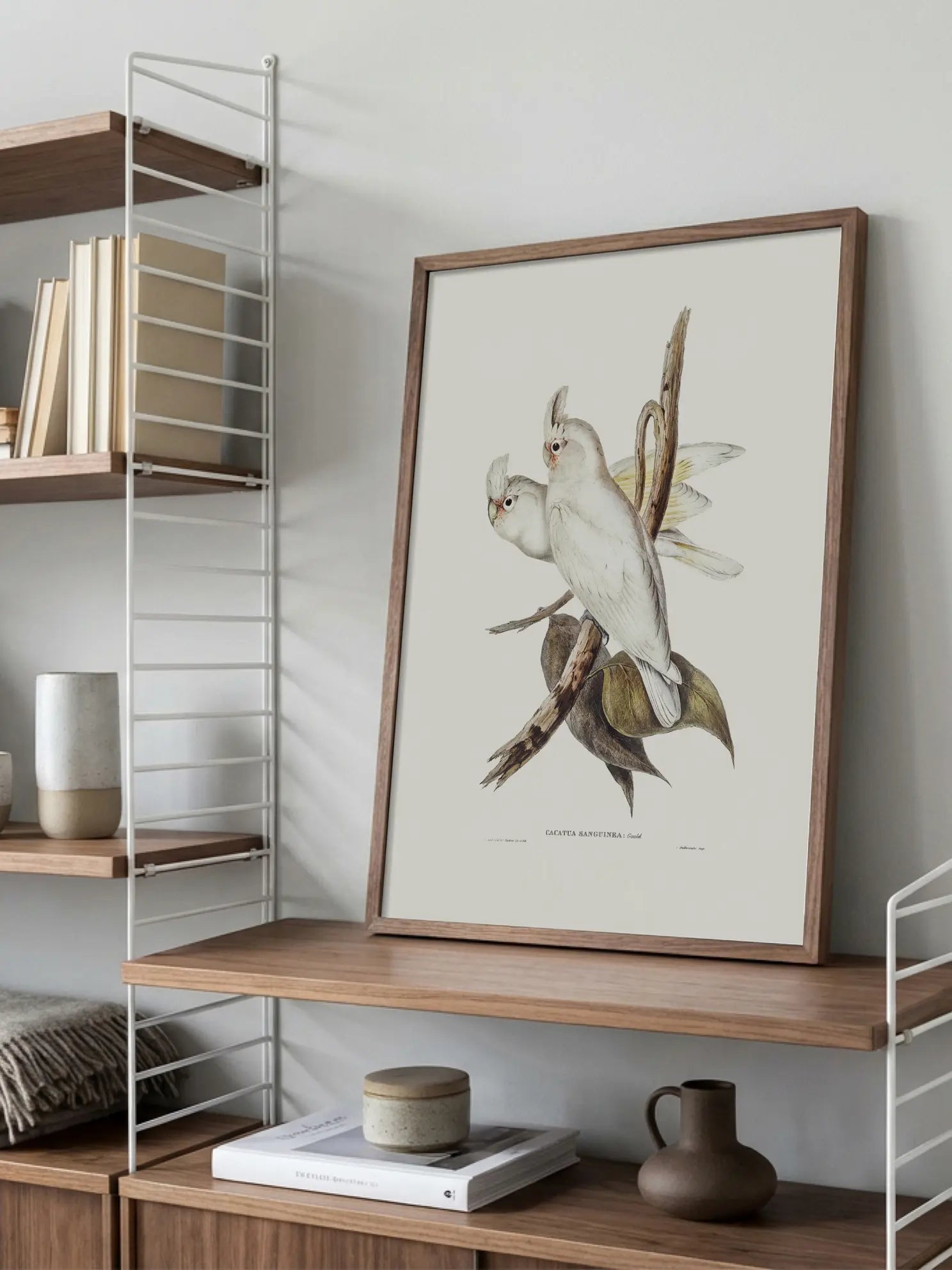 White Cockatoo Bird Illustration Poster