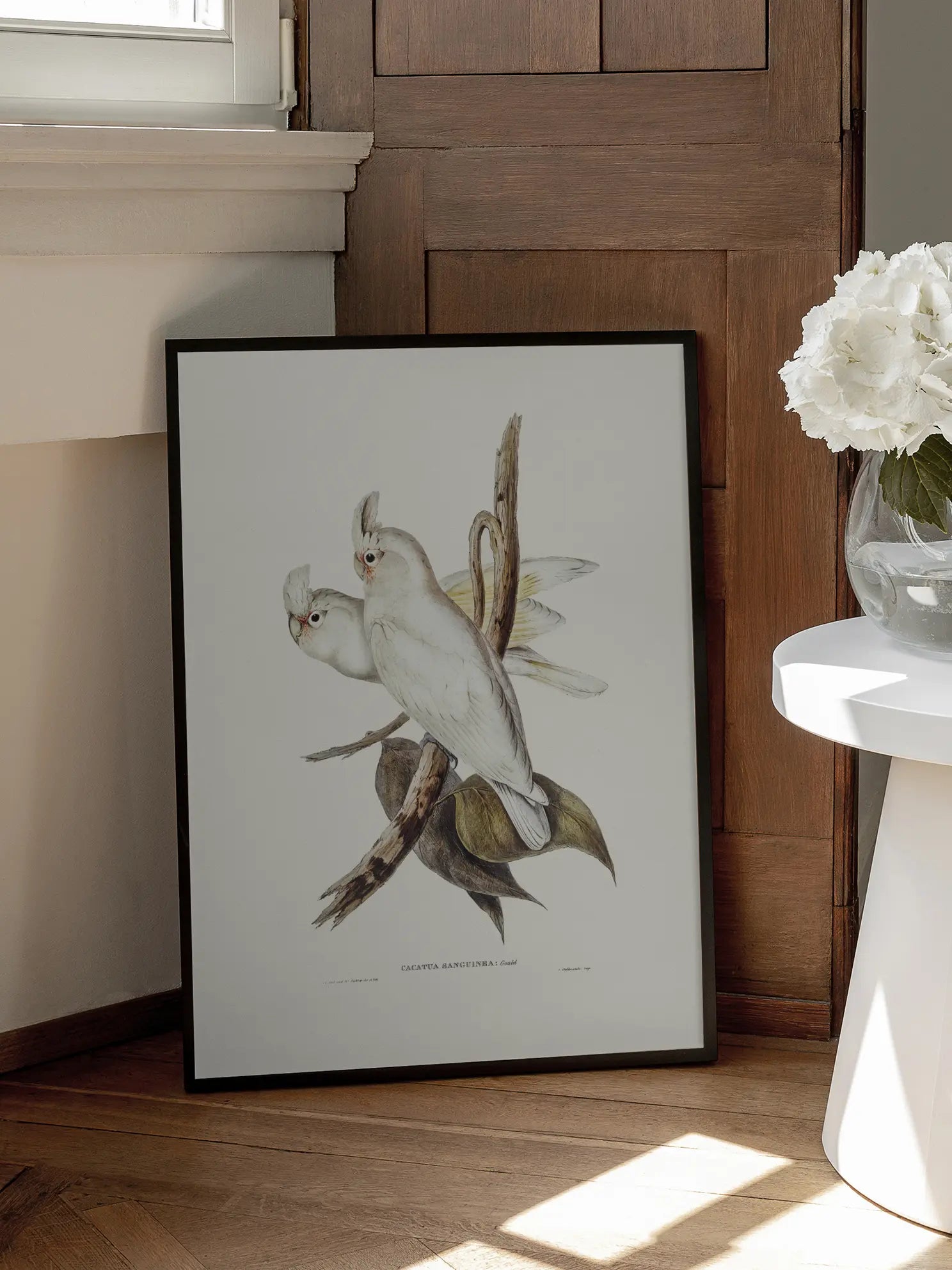 White Cockatoo Bird Illustration Poster