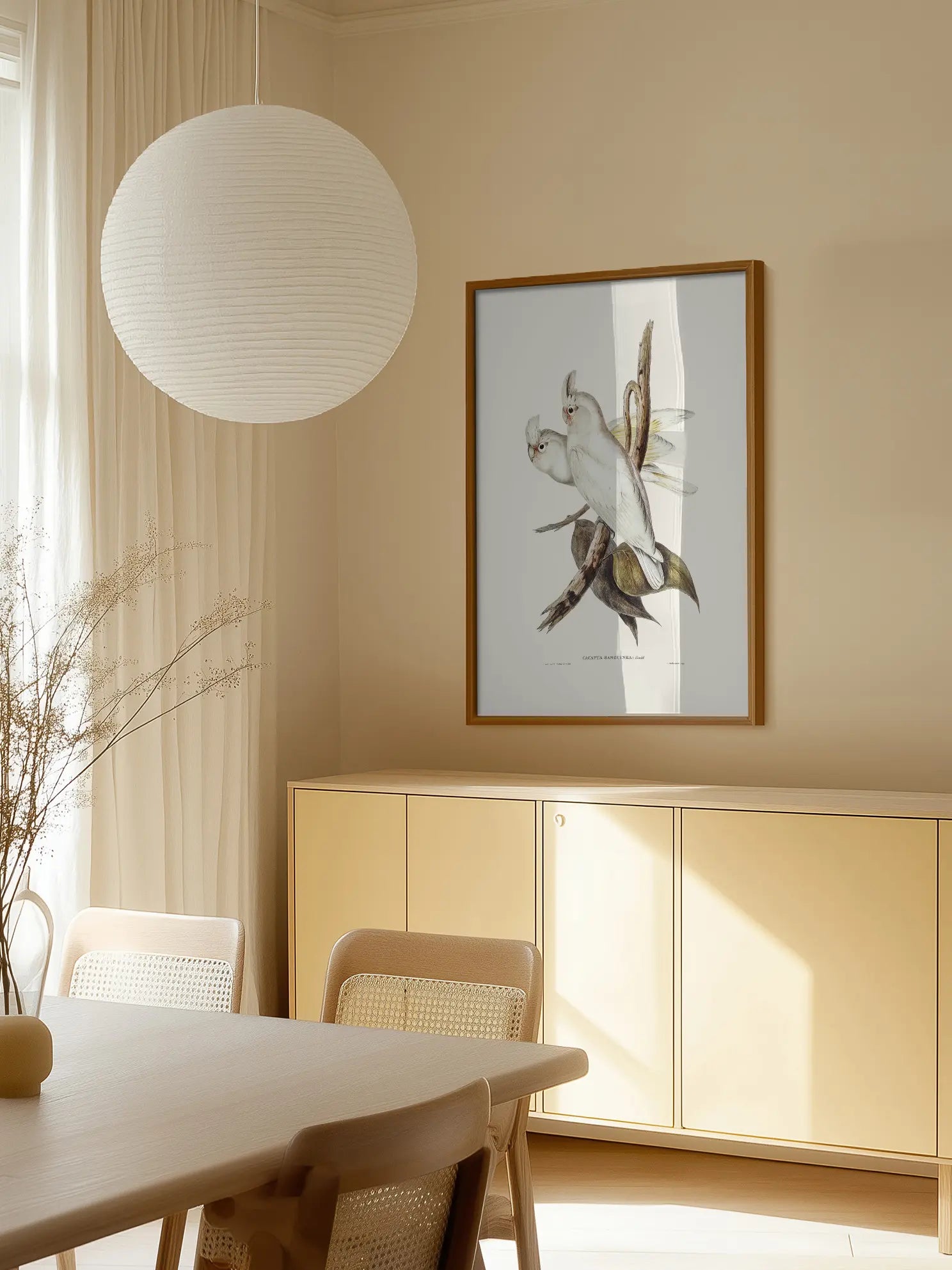 White Cockatoo Bird Illustration Poster