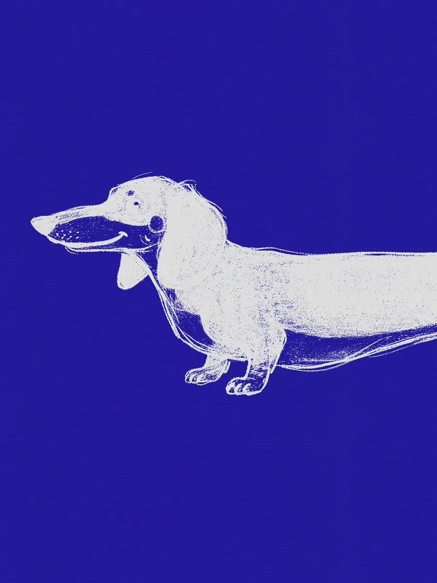 Illustration eines weißen Dackels vor blauem Hintergrund.
