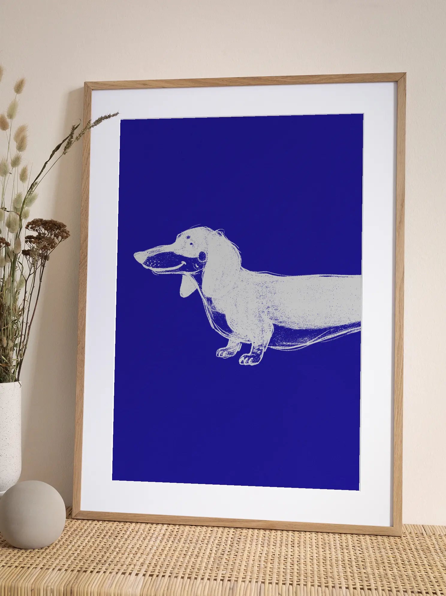 White Dachshund Poster