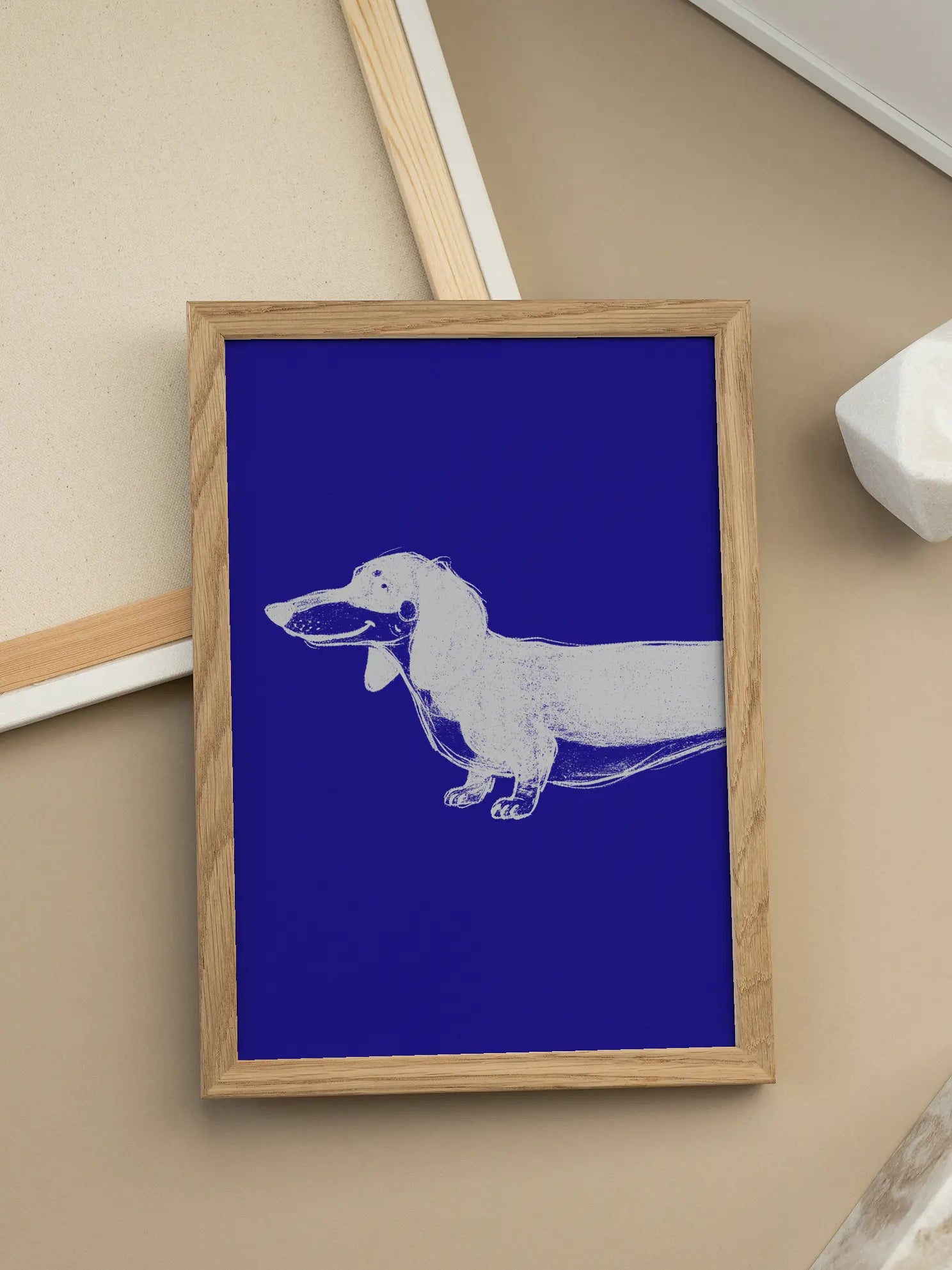 White Dachshund Poster