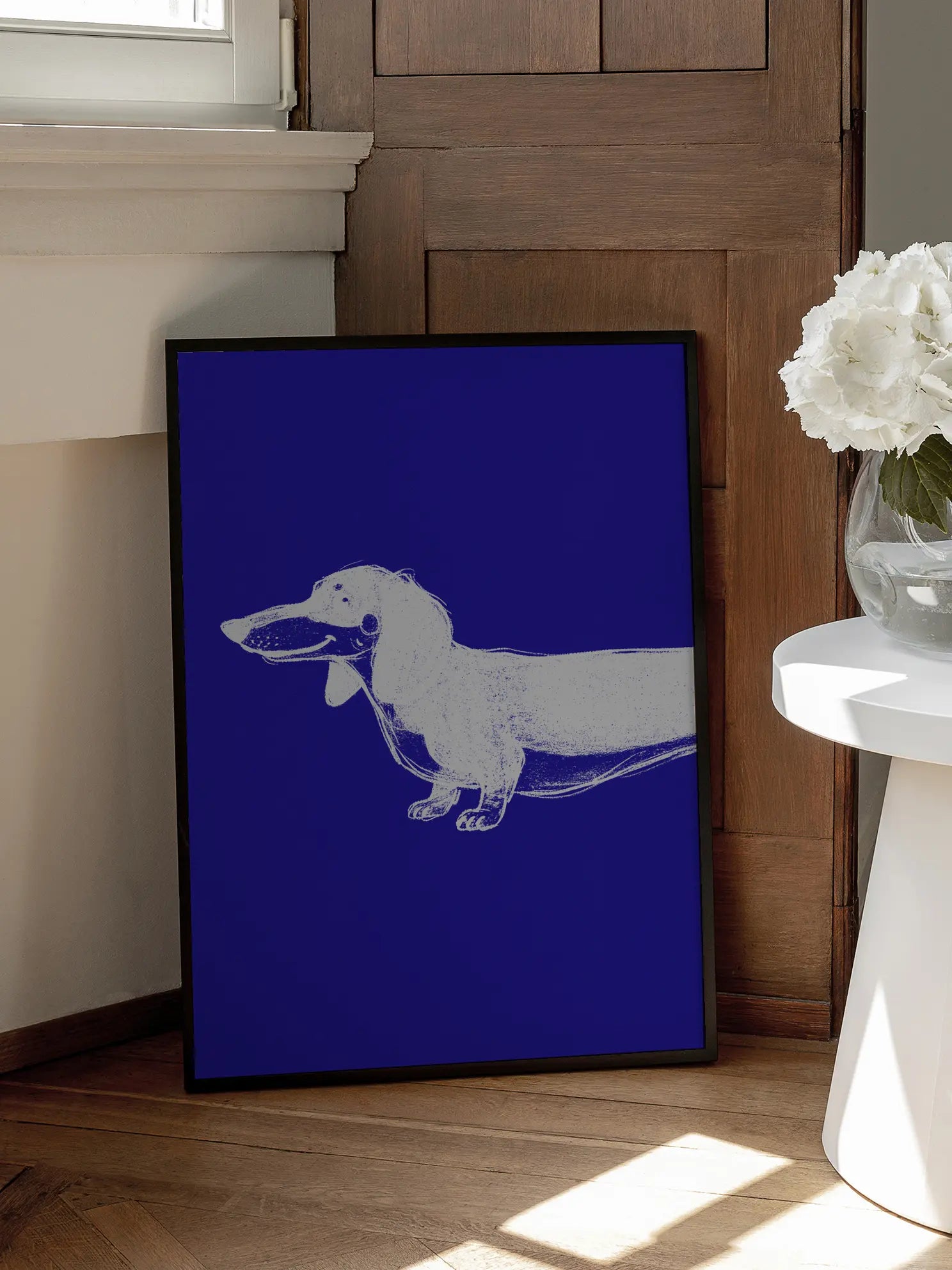 White Dachshund Poster