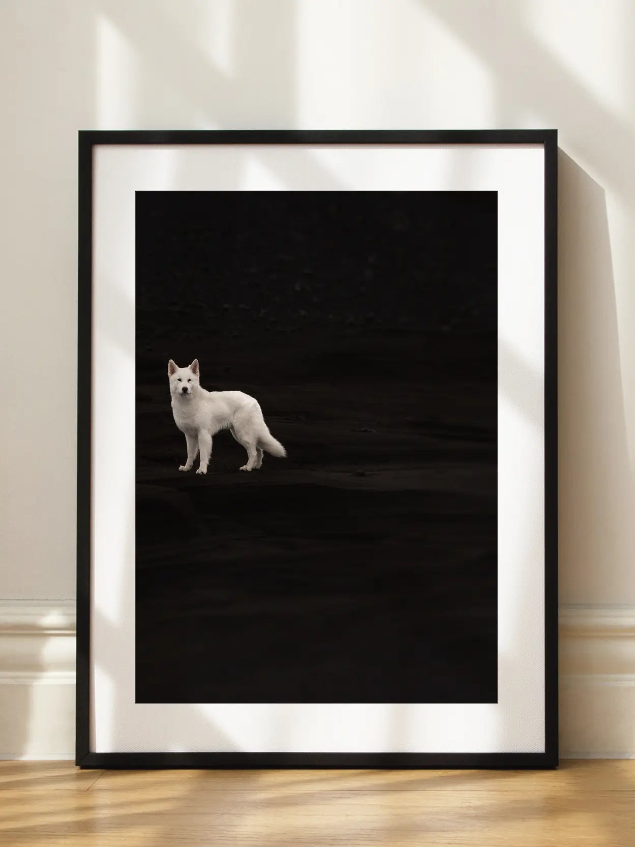 White Dog Poster