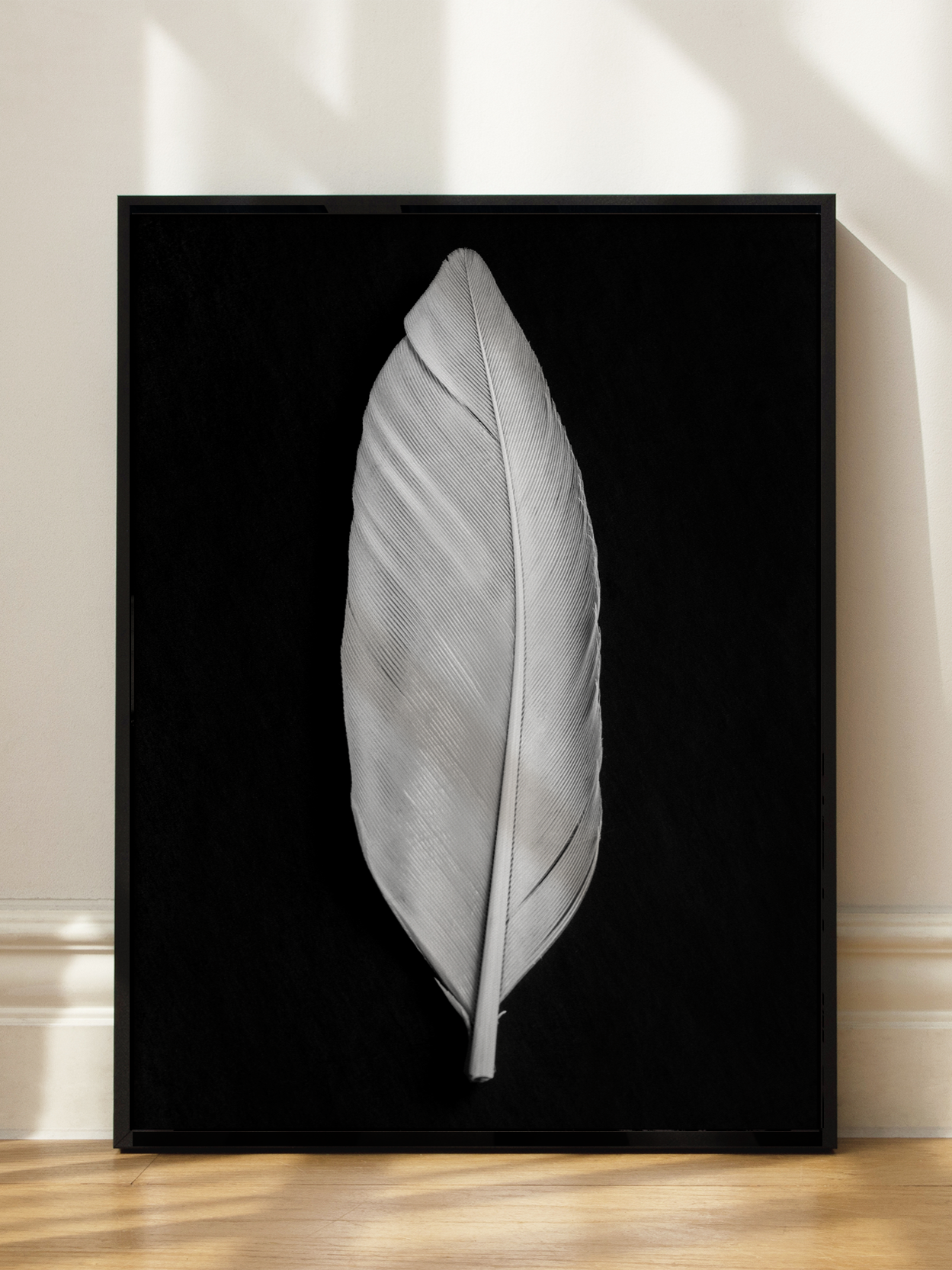 White Feather