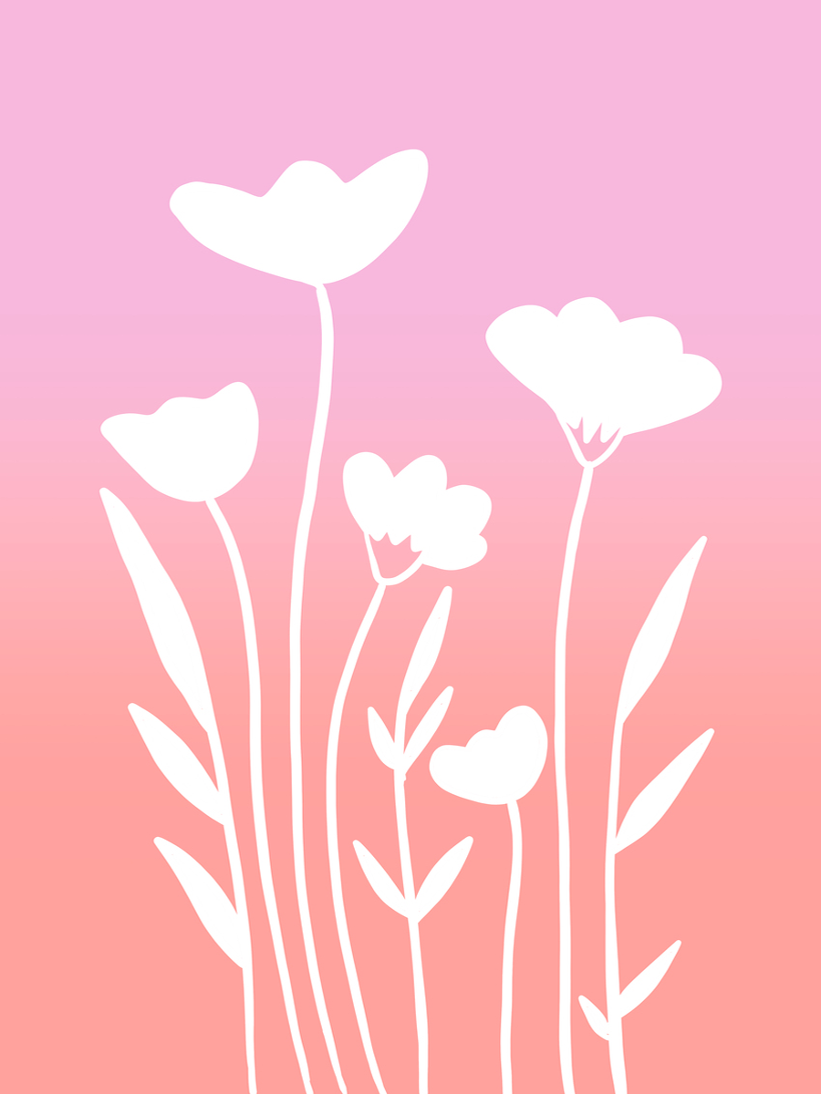 Weiße Blumen auf einem pink-orangefarbenen Farbverlaufshintergrund.