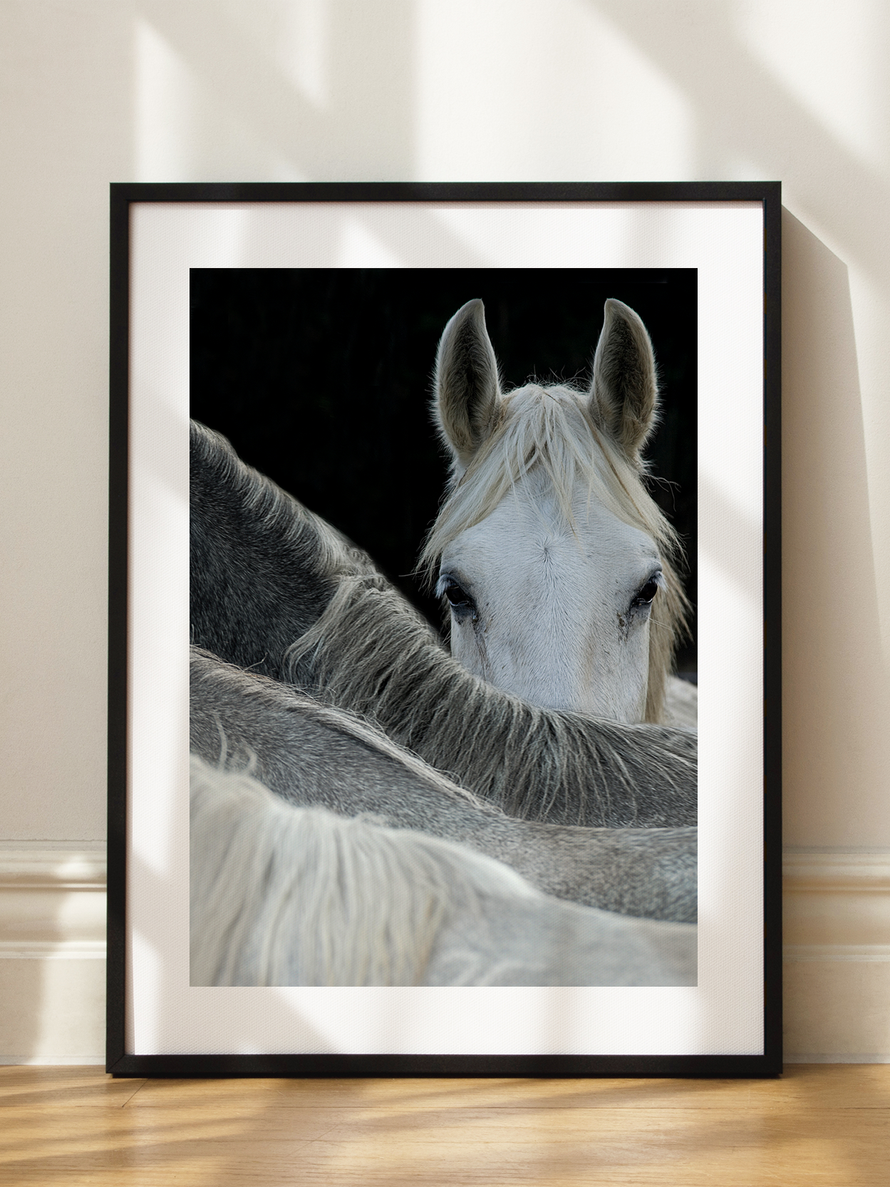 White Horse