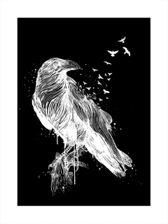 Grafische Illustration eines weißen Raben auf schwarzem Hintergrund mit kleineren Vögeln.