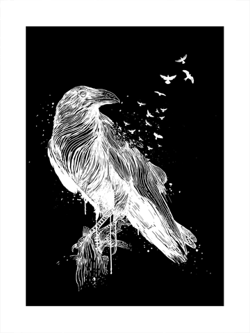 Grafische Illustration eines weißen Raben auf schwarzem Hintergrund mit kleineren Vögeln.