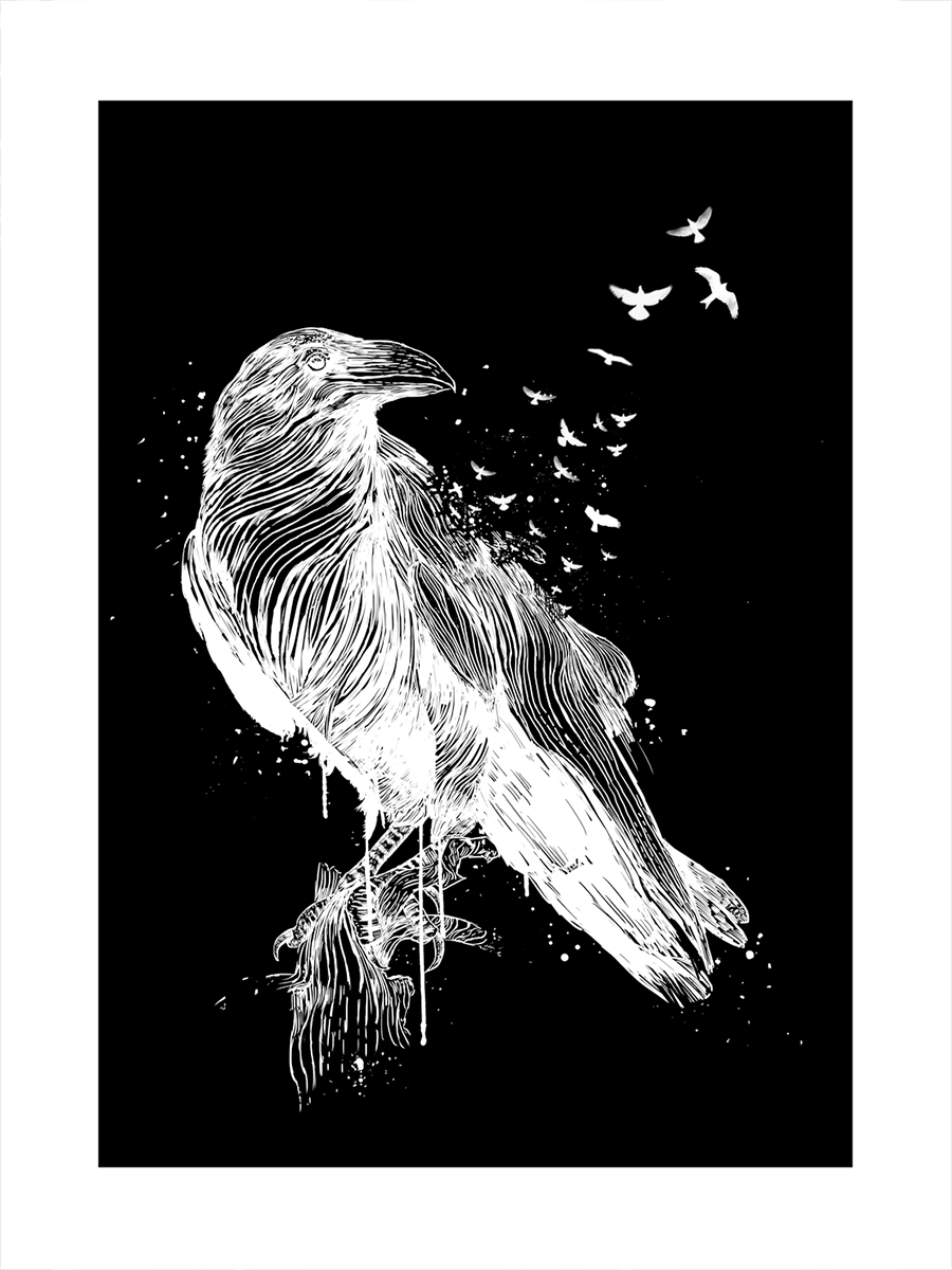 Grafische Illustration eines weißen Raben auf schwarzem Hintergrund mit kleineren Vögeln.