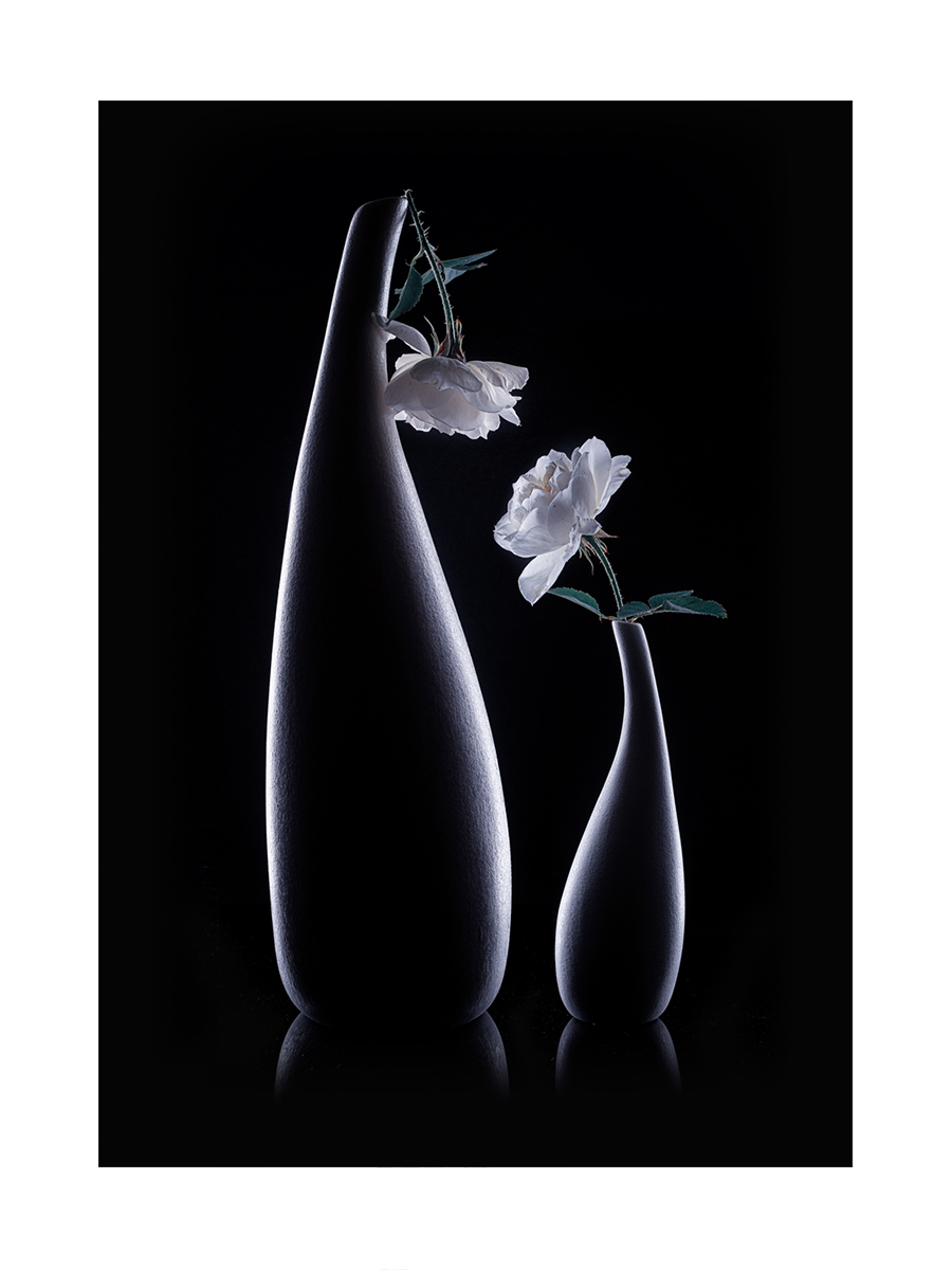 White Roses in Black Vases Poster