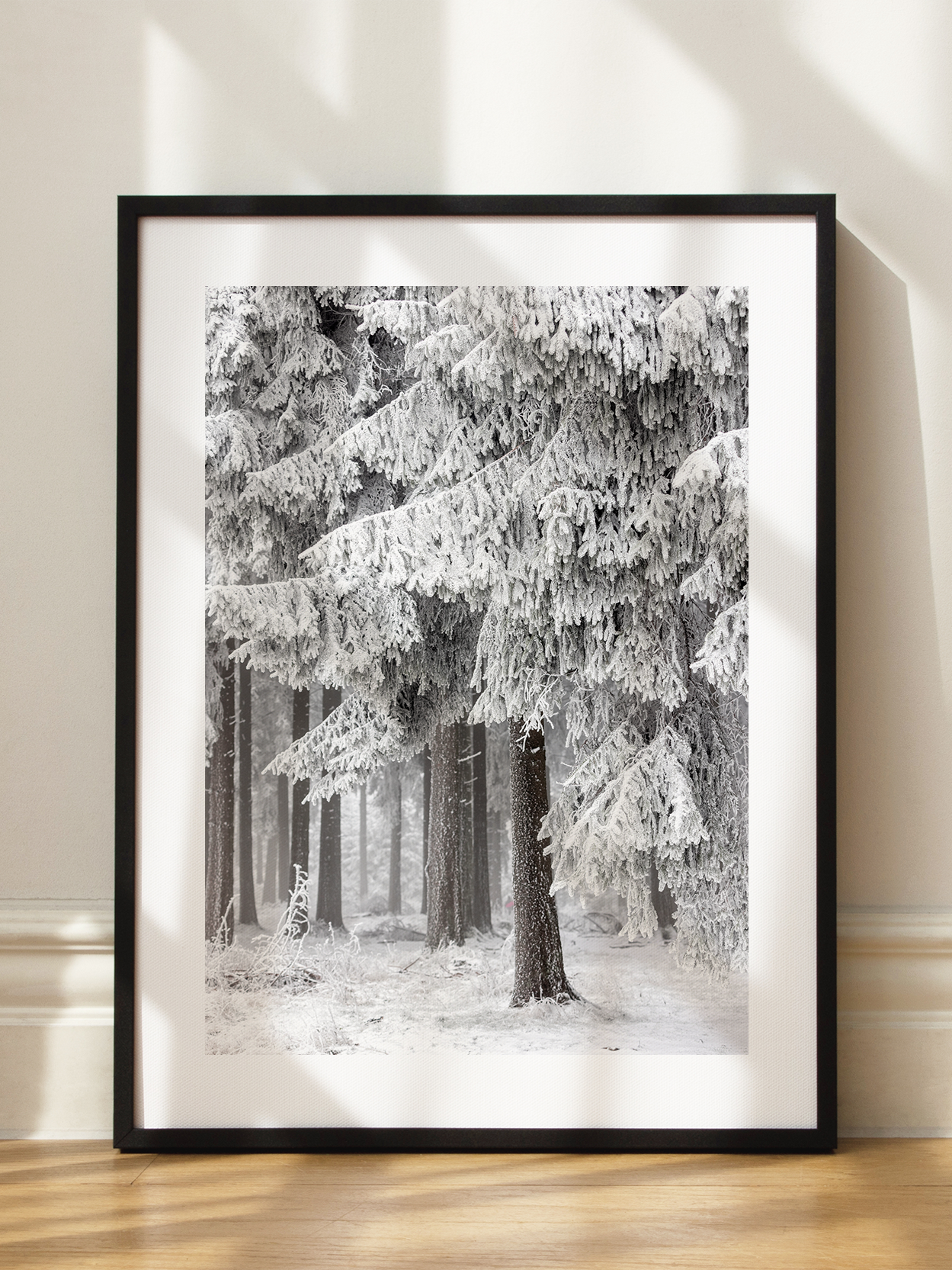 Winter Forest 2