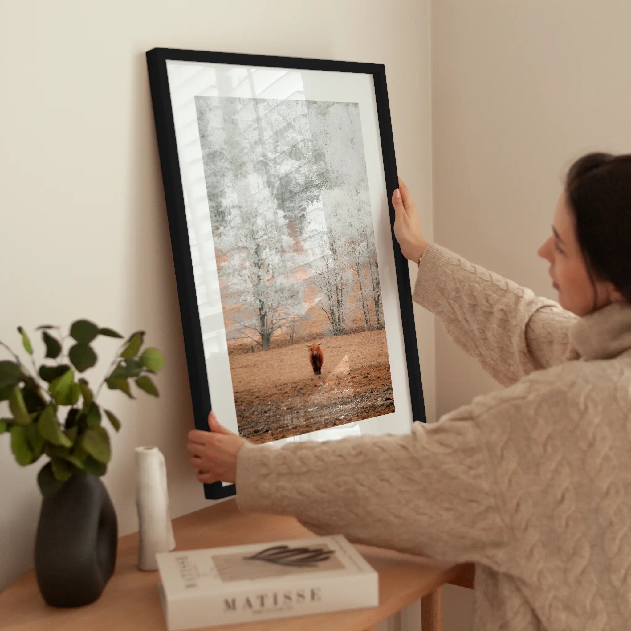 Winter Highland Cow wird aufgehängt