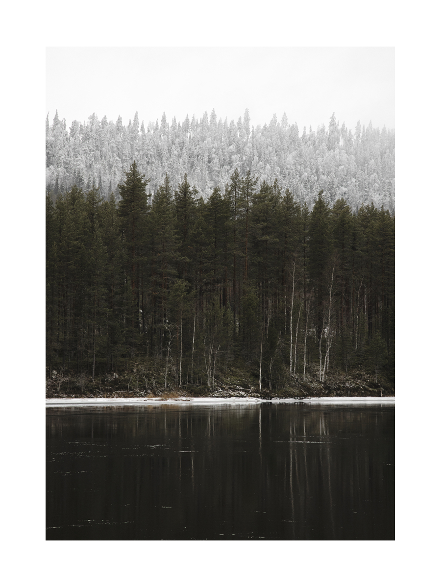Fotografie eines stillen Sees umgeben von einem schneebedeckten Nadelwald.