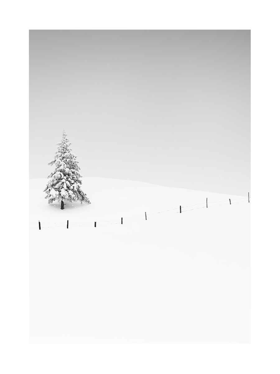 Minimalistisches Winterposter mit einem schneebedeckten Baum und einem Zaun auf einem schneebedeckten Feld.